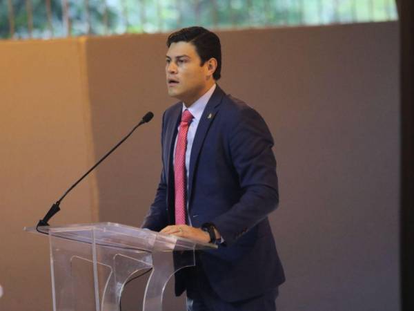 Marlon Ochoa, consejero del CNE.