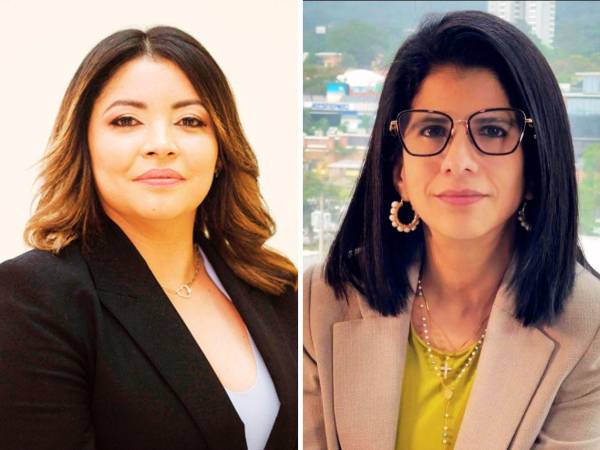 Congreso evalúa destituciones en CNE y TJE mientras surgen nombres para reemplazos clave en órganos electorales.