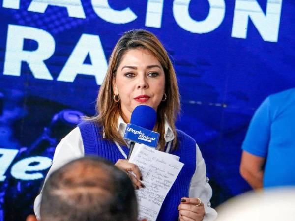En 2022, Mejía fue una de las diputadas de oposición que solicitó la eliminación del impuesto a los combustibles durante el gobierno de Xiomara Castro.