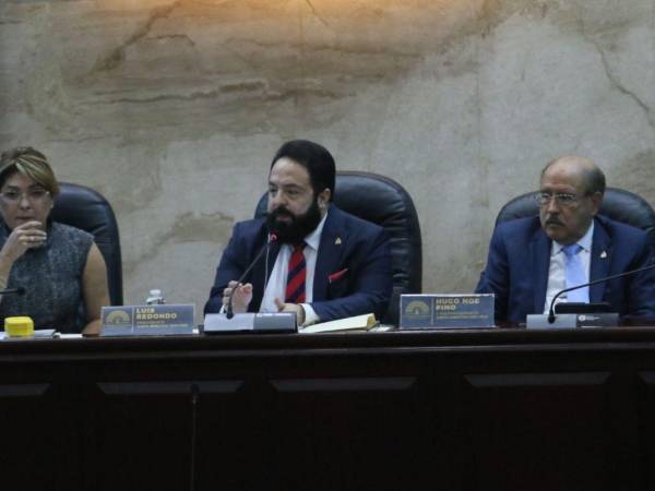 Diversos organismos y actores políticos sostienen que el decreto vulnera la voluntad expresada en las urnas.