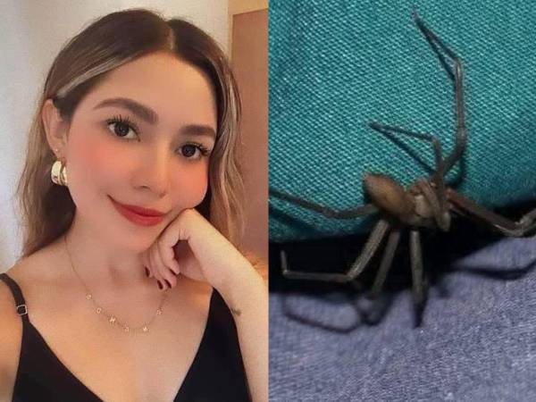 María Fernanda Vázquez Valverde, de 31 años, perdió la vida el pasado 25 de abril de 2025 tras ser mordida por una araña violinista.