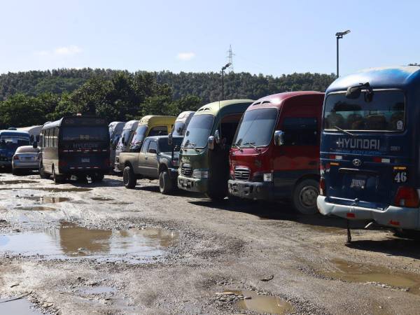 Los buses de la Ruta 2<b> </b>retomaron sus operaciones de manera normal en la ciudad de San Pedro Sula