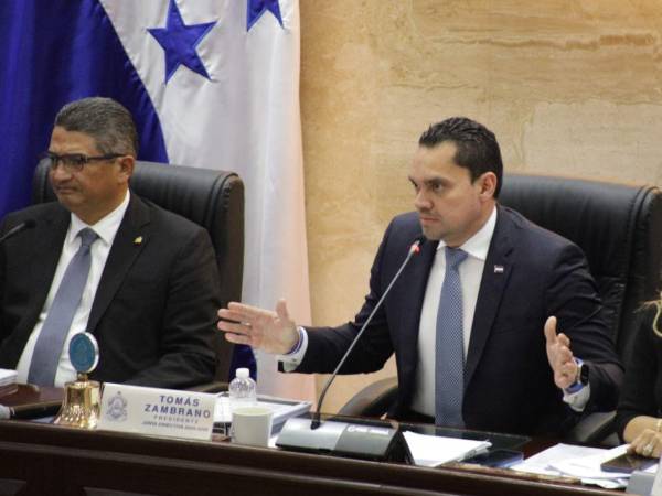 Tomás Zambrano, presidente del Congreso Nacional, convocó a sesión este lunes 20 de abril, en donde someterán a discusión el presupuesto de la República.