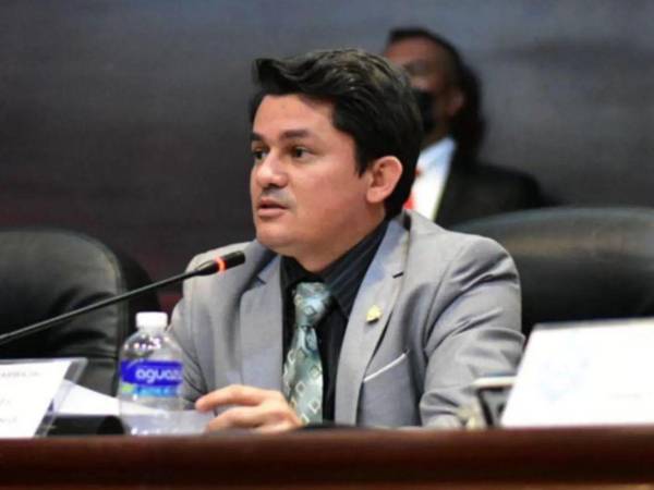 Foto de Fabricio Sandoval, diputado del partido Libertad y Refundación (Libre), en sesión legislativa.