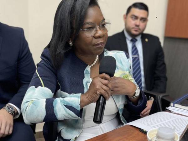 Johana Bermúdez comenzó su carrera política en 2018, como diputada en el Congreso Nacional.