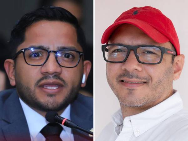 Libre respalda a German Altamirano para el CNE y a Mario Portillo para el TJE, según el diputado Luis Ortega.<i> </i>
