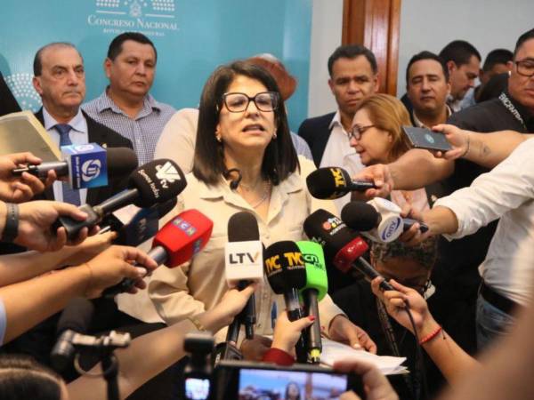 El pleno acordó atribuir responsabilidad política a Redondo por el atentado sufrido este jueves por la diputada Gladis Aurora López.