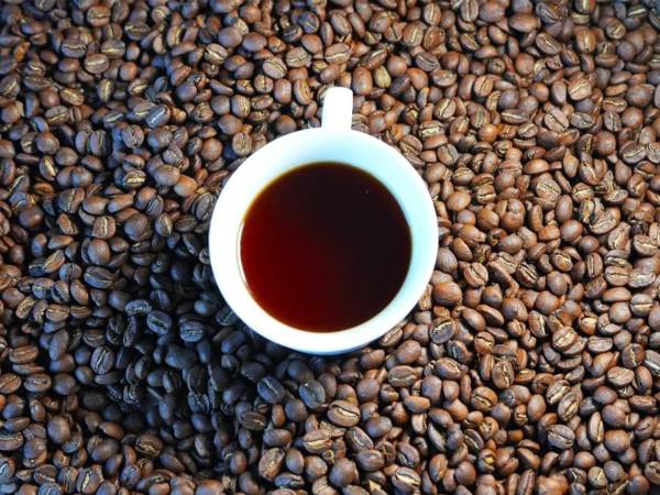 Los productores tendrán su espacio para exponer sus producto y servicios.