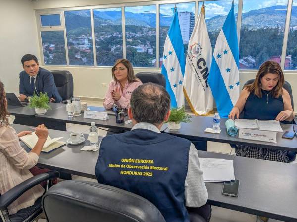 El pleno de consejeros del CNE se ha reunido con observadores internacionales.