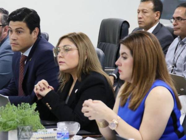 En la foto los consejeros Marlon Ochoa, Ana Paola Hall y Cossette López.