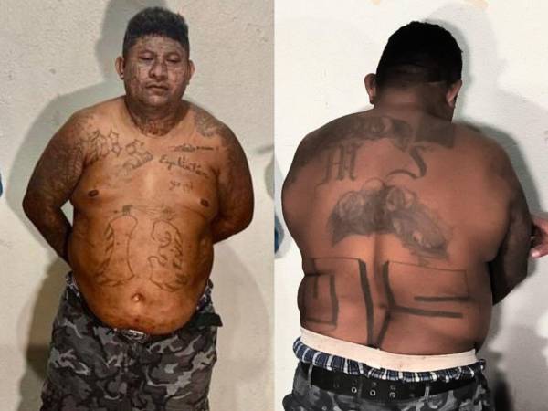 Un supuesto cabecilla de la Mara Salvatrucha (MS-13) fue detenido ayer, lunes, en Potrerillos, Cortés.