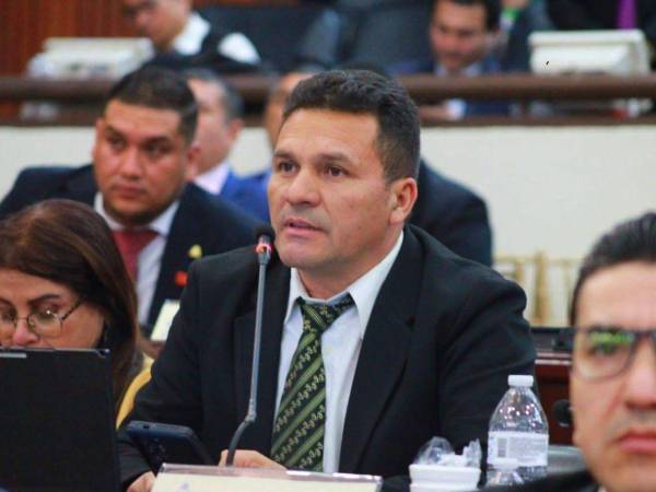 La Ley Orgánica y Procesal Electoral establece que, para ser magistrado del TJE, no solo se requiere ser abogado y tener más de 10 años de experiencia profesional, como afirmó Carlentón Dávila.