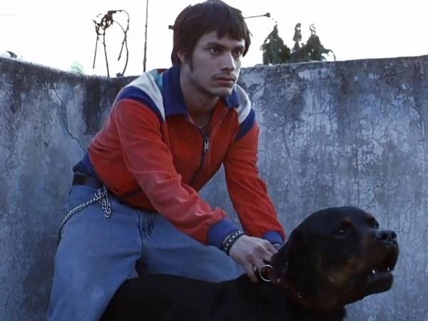 La sinopsis ‘Amores Perros’ relata que es una historia audaz, de gran intensidad emocional y ambición, que entrelaza y explora las vidas de tres personajes dispares a partir de un accidente de vehículos en la Ciudad de México, llevándolos a imprevistas situaciones dramáticas instigadas por el destino, aparentemente sin mayor sentido, de un perro llamado Cofi.