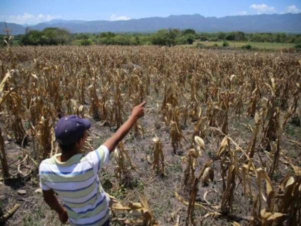 Varias regiones de Honduras sufren los efectos del desabastecimiento hídrico, especialmente el sur del país.