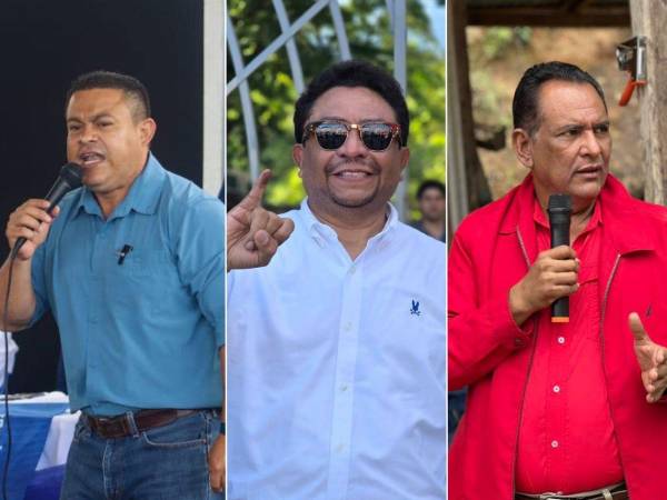 Varios diputados que tenían varios períodos consecutivos, son figuras principales en las bancadas y líderes departamentales, además de llegar como favoritos a los comicios generales del 30 de noviembre, están quedándose a la orilla de ser elegidos para hilvanar otro período como congresistas. Se han contabilizado más del 50% de los votos.