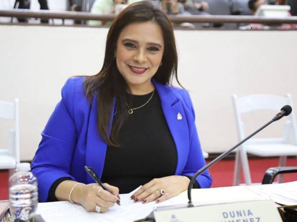 La Constitución establece que los consejeros del CNE y los magistrados del TJE son electos por el Congreso Nacional mediante mayoría calificada de dos tercios de los diputados