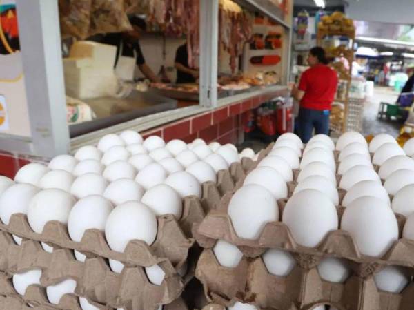 Una leve rebaja en el precio del<b> </b>cartón de huevos se registra en los principales mercados de San Pedro Sula.