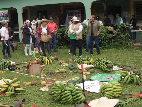 La inversión productiva impulsa el desarrollo económico de mujeres del campo.