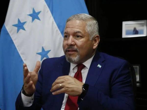 Ciertos exfuncionarios, como expresidentes, exsecretarios y exsubsecretarios de Estado y sus cónyuges, tienen derecho a portar pasaporte diplomático de manera vitalicia.