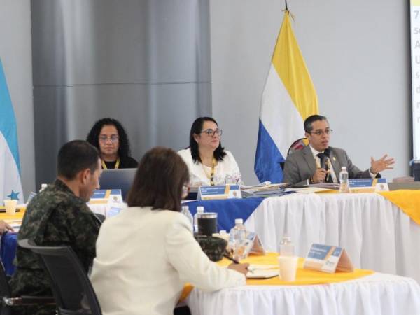 Autoridades y representantes de las distintas universidades del país participaron en la sesión del CES.