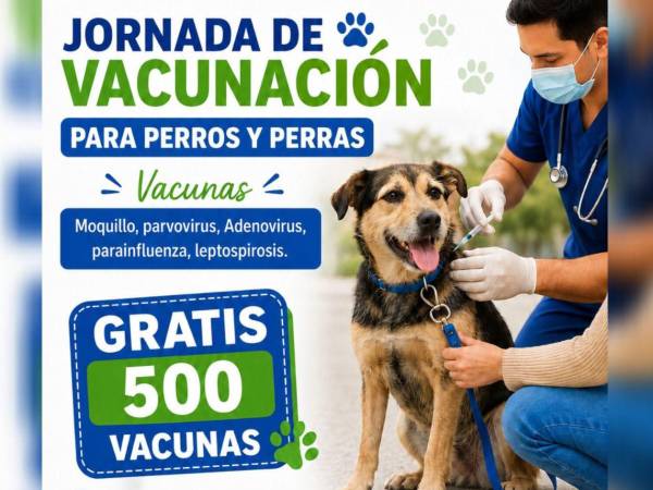 Los organizadores informaron que estarán disponibles 500 dosis gratuitas, por lo que hicieron un llamado a los dueños de mascotas a llegar con anticipación, ya que la atención será por orden de llegada y el cupo es limitado.