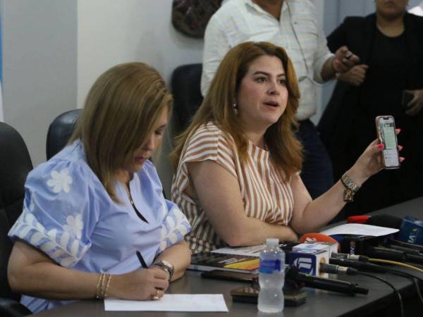 En un oficio, Ana Paola Hall y Cossette López Osorio solicitan comparecer para detallar irregularidades en el proceso electoral 2025.