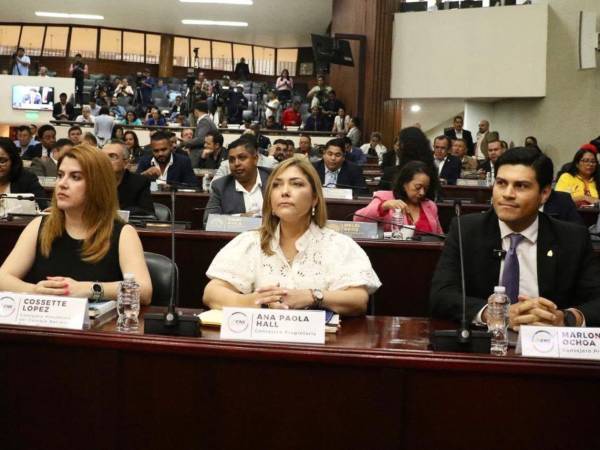 Cossette López, Ana Paola Hall y Marlon Ochoa fueron llamados al Congreso Nacional el pasado 8 de julio; sin embargo, tras situaciones de irrespeto, las consejeras no lograron terminar de exponer cómo va el proceso electoral.