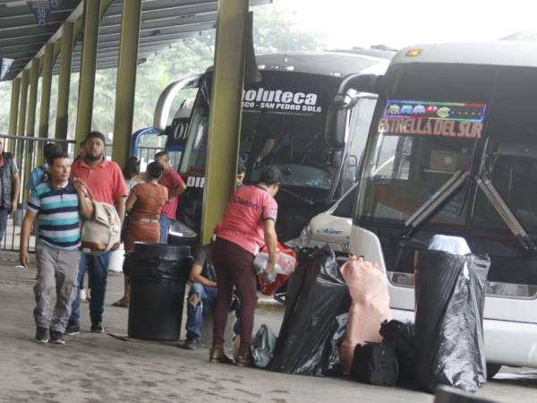 Varias empresas de transporte interurbano han confirmado que no operarán este domingo.