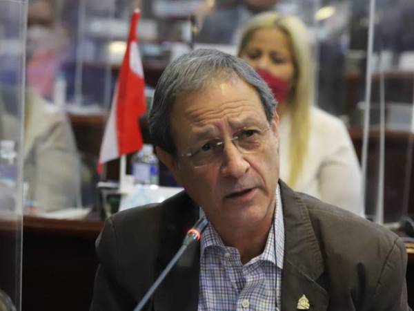 Mauricio Villeda, actual diputado del Congreso Nacional, fue candidato presidencial del Partido Liberal en las elecciones generales de 2013.