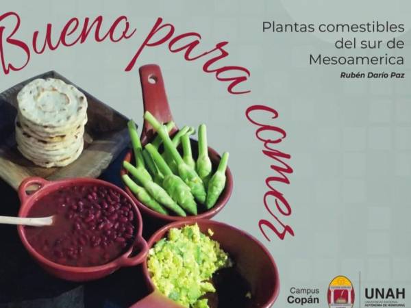 El libro digital Bueno para comer ya está disponible gratuitamente a través de los sitios web de la Universidad Nacional Autónoma de Honduras y la Biblioteca Cervantes.