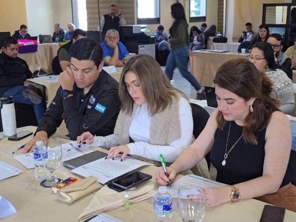 El pleno de consejeros Marlon Ochoa, Ana Paola Halla y Cossette López.
