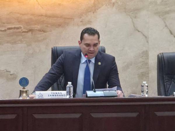 Presidente del Congreso Nacional, <b>Tomás Zambrano.</b>