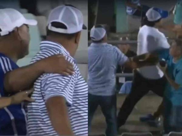 Javier Cruz y un aficionado protagonizaron una terrible escena en pleno partido.