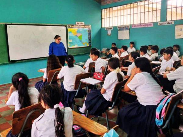 Los docentes Proheco han pasado de enfrentar la falta de seguridad social, salarios por debajo del mínimo legal y la incertidumbre de contratos temporales, a lograr conquistas que se equiparan con los regulares.