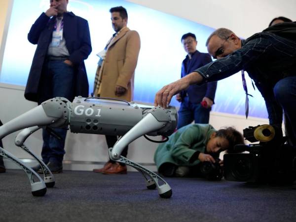 Fotografía de archivo que muestra el robot Go1 de la compañía Unitree.