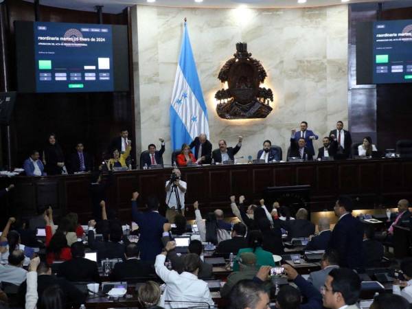 El decreto aprobado en el Congreso Nacional podría modificar los resultados de las elecciones del 30 de noviembre de 2025.