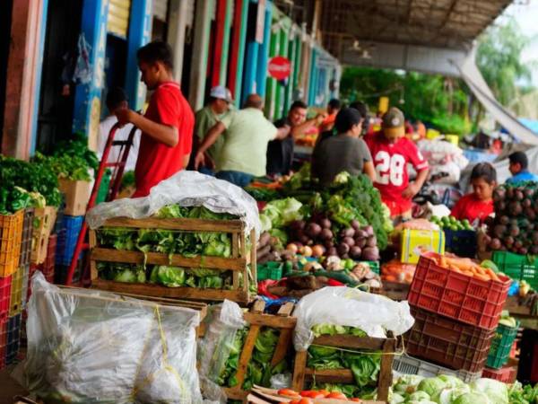 En cuanto a las verduras, los precios se mantienen variables en los mercados de San Pedro Sula.