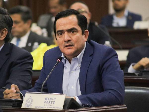 El diputado pidió a la Administración Aduanera revisar si la importación de productos comercializados por estos establecimientos se realiza de forma legal.