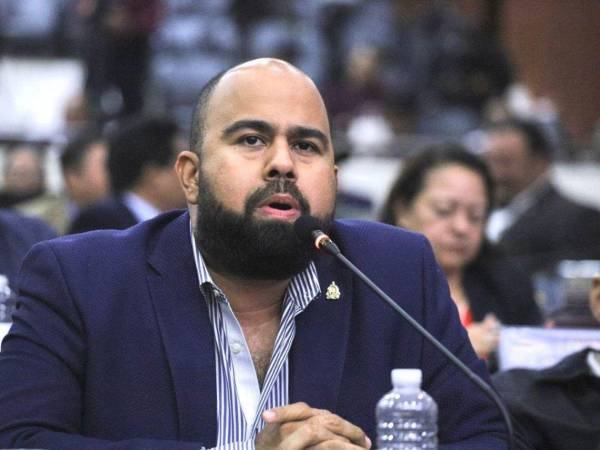 La Ley Orgánica del Poder Legislativo establece de forma clara que los diputados suplentes deben pertenecer al mismo partido político que el diputado propietario ausente.