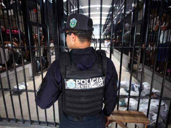 La Fuerza Especial Penitenciaria tendrá a su cargo la custodia de los reos de alta peligrosidad o sometidos al régimen especial.