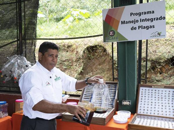 Ángel Rafael Trejo, coordinador del programa de Ihcafe.
