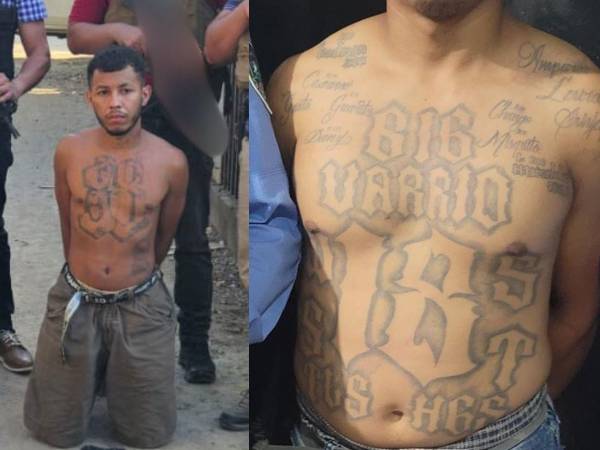 La Dirección Policial Anti Maras y Pandillas Contra el Crimen Organizado (Dipampco) reportó que este 2025 logró sacar de circulación a cerca de 300 personas vinculadas a estructuras delictivas que operaban en el departamento de Cortés.