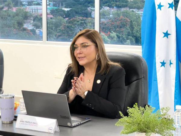 La consejera también cuestionó la necesidad de establecer mecanismos legales para garantizar el cumplimiento de funciones dentro del CNE.
