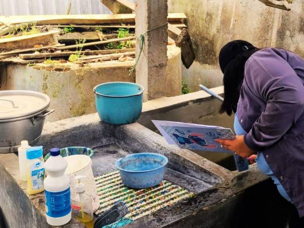 Personal de salud inspeccionó las pilas para verificar si había presencia de larvas del zancudo transmisor del dengue.