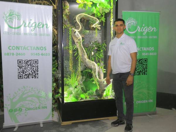 El hondureño Fredys Chávez es el creador de Origen, una exposición que no es patrocinada por ninguna empresa, es un sueño realizado con esfuerzo propio que se materializa gracias al apoyo de su madre y del público que asiste a sus instalaciones en San Pedro Sula.