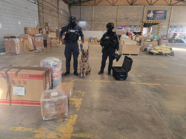 La finalidad del envío de paquetes era contribuir a la expansión del narcomenudeo en Tegucigalpa.