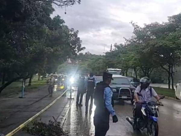 El cuerpo del hombre asesinado quedó frente a las oficinas del Instituto de la Propiedad.