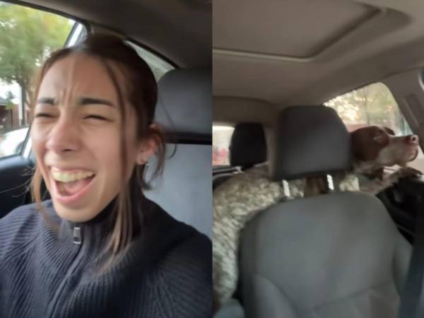 Una escena tan inesperada como divertida ha captado la atención de millones de usuarios en TikTok, luego de que una joven descubriera que no regresaba sola a casa tras recoger su automóvil del taller mecánico.