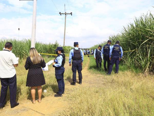Los cuerpos de Ana Lara y Kelvin López fueron hallados en medio de las cañeras del sector de la Sabana, San Manuel.