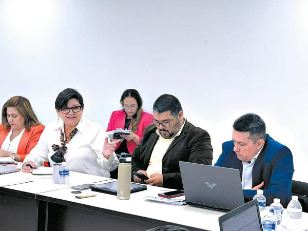 <b><span class=mln_uppercase_mln>Trabajo.</span></b> La ministra de Salud, Carla Paredes, y sus dos técnicos se reunieron ayer con los empleados del Seguro Social.